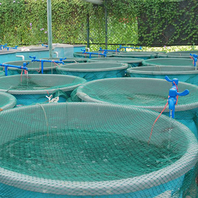aquaculture 1